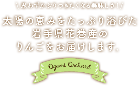 太陽の恵みをたっぷり浴びた岩手県花巻産のりんごをお届けします。思わずかぶりつきたくなる美味しさ！